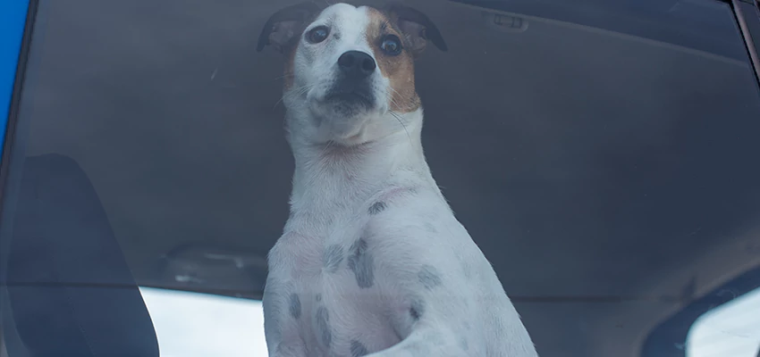 Car Lockout Solutions in South Pasadena, California